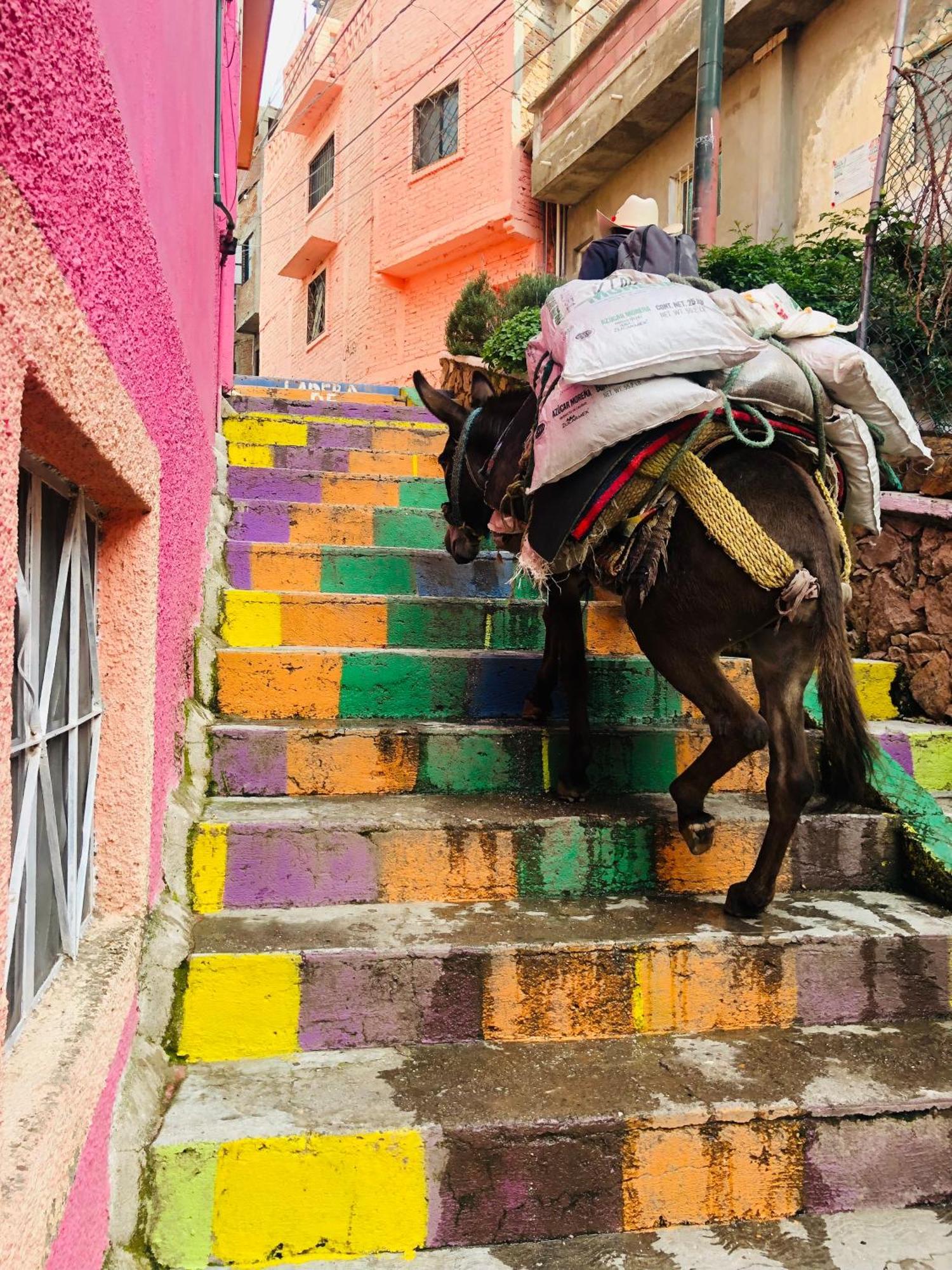 Home Sweet Home Guanajuato Exteriör bild